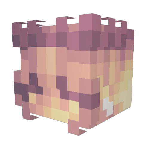 wittyly Minecraft avatar head, 3D render