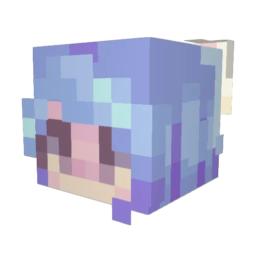 wittyquip Minecraft avatar head, 3D render