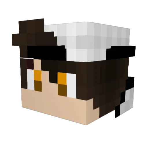 wiurek Minecraft avatar head, 3D render
