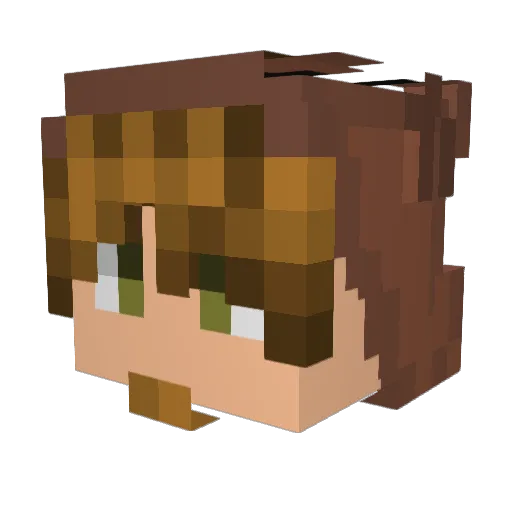 wiusad Minecraft avatar head, 3D render