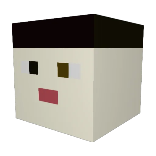 wiw9 Minecraft avatar head, 3D render
