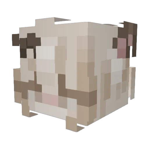 wiwkula Minecraft avatar head, 3D render