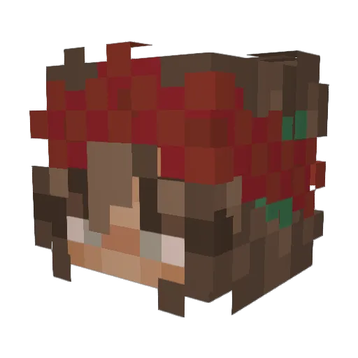 wixhered Minecraft avatar head, 3D render