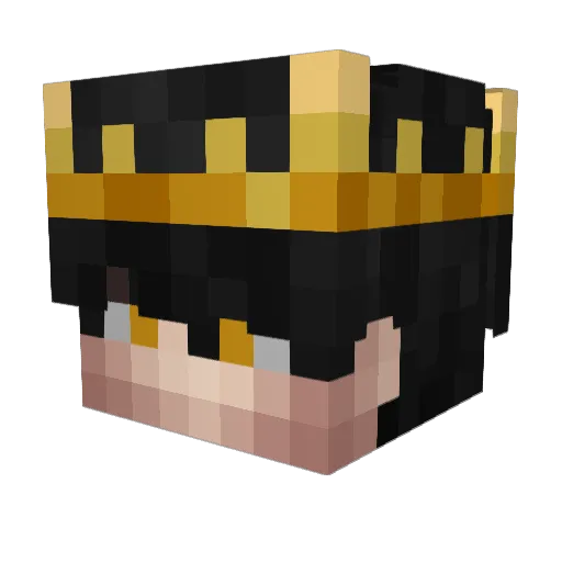 wizSparrow Minecraft avatar head, 3D render