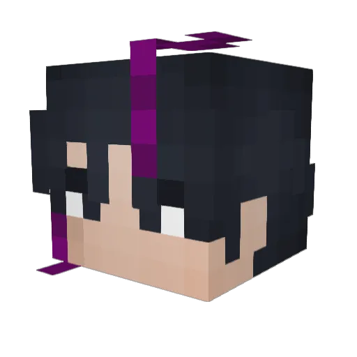 wizardbiggs Minecraft avatar head, 3D render