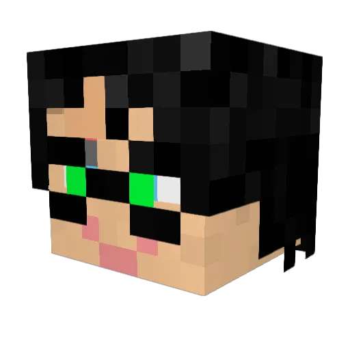 wizardbooks Minecraft avatar head, 3D render