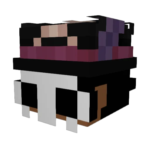 wizardcyrus Minecraft avatar head, 3D render