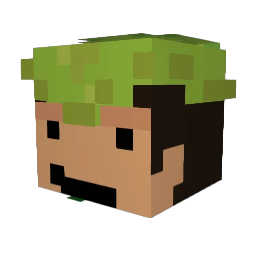 wizardish_ Minecraft avatar head, 3D render