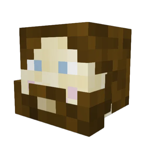 wizardjunk1 Minecraft avatar head, 3D render
