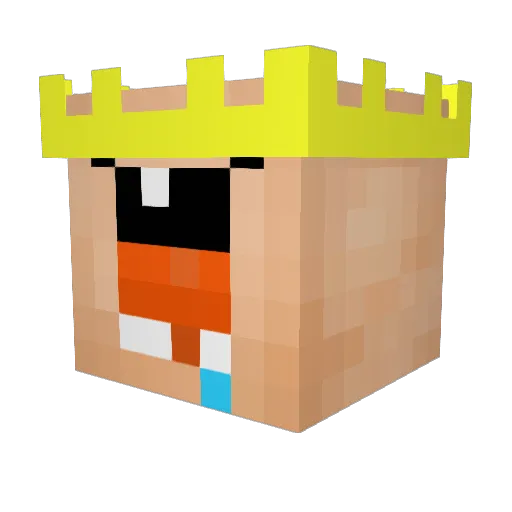 wizardmon16 Minecraft avatar head, 3D render
