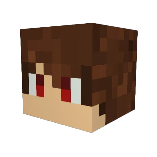 wizardwebster Minecraft avatar head, 3D render