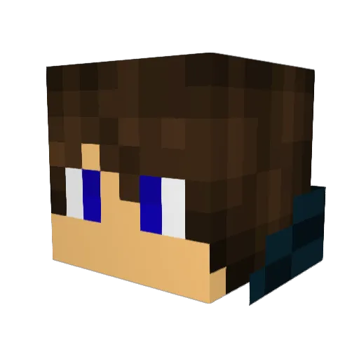 wizardwolf1 Minecraft avatar head, 3D render