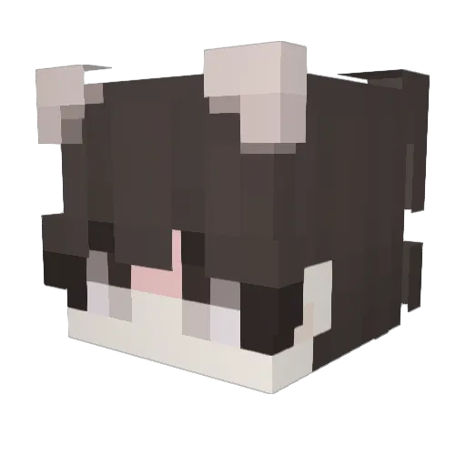 wizisco Minecraft avatar head, 3D render