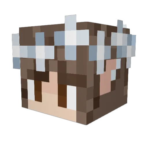 wizkiefa Minecraft avatar head, 3D render