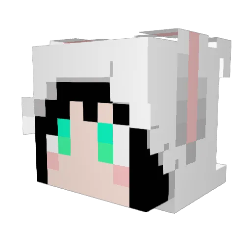 wizkira Minecraft avatar head, 3D render