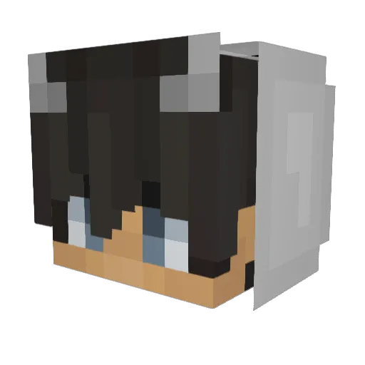 wizland Minecraft avatar head, 3D render