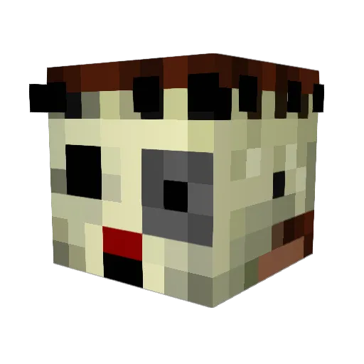 wizznob11 Minecraft avatar head, 3D render