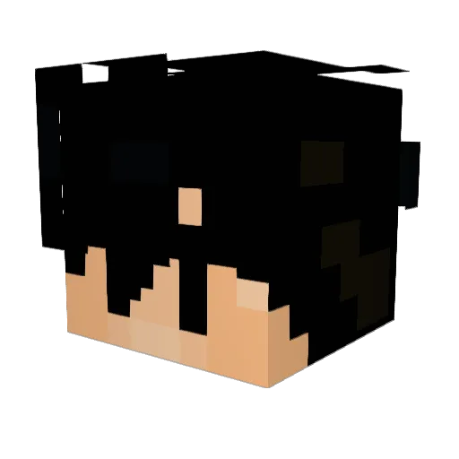 wizzo_ Minecraft avatar head, 3D render