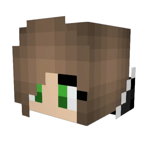 wizzzers Minecraft avatar head, 3D render