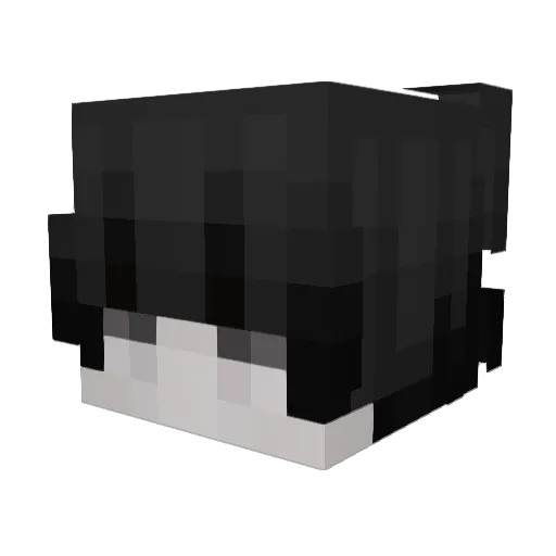 wjdalsgh3110 Minecraft avatar head, 3D render