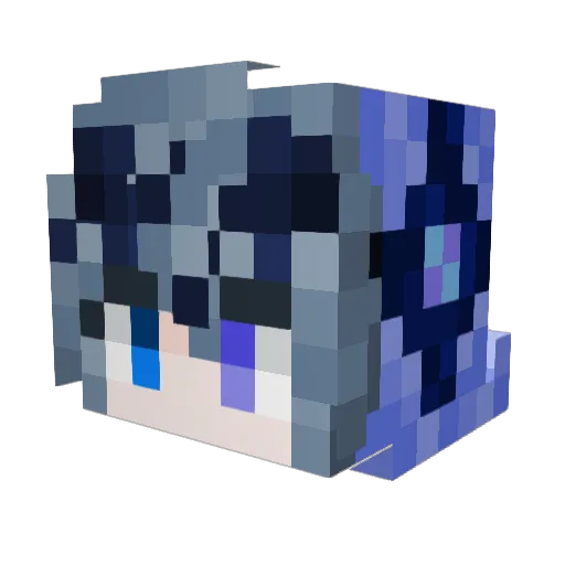 wjddls13 Minecraft avatar head, 3D render