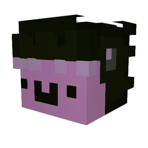 wjdgnbs Minecraft avatar head, 3D render