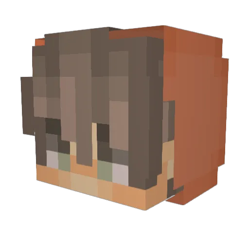 wjdgus1234 Minecraft avatar head, 3D render