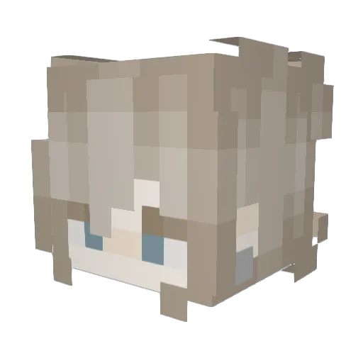 wjf0 Minecraft avatar head, 3D render