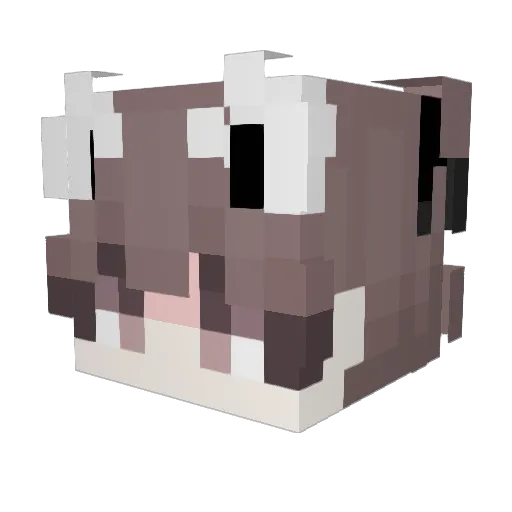 wjf2004 Minecraft avatar head, 3D render