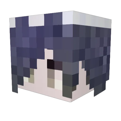 wjh40 Minecraft avatar head, 3D render