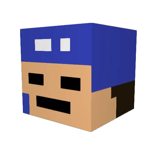 wjin23 Minecraft avatar head, 3D render