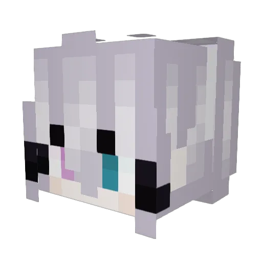 wjko Minecraft avatar head, 3D render