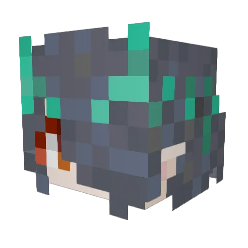 wjnmc Minecraft avatar head, 3D render