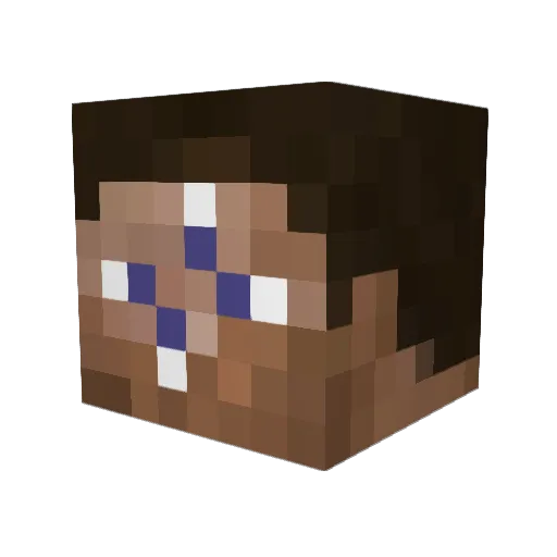 wjpminer Minecraft avatar head, 3D render
