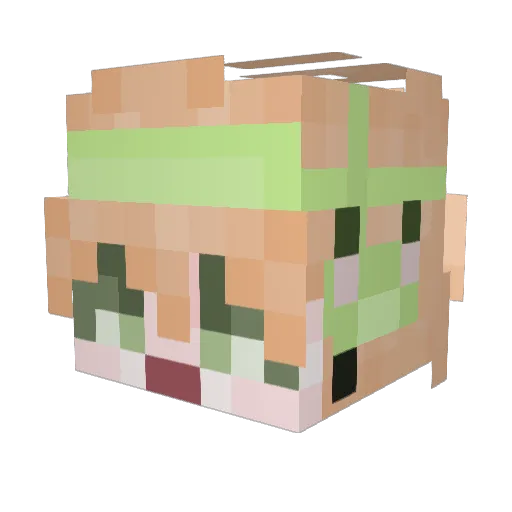 wjscks Minecraft avatar head, 3D render