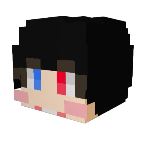 wjsdndud Minecraft avatar head, 3D render