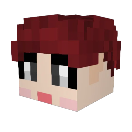 wjswoals_ Minecraft avatar head, 3D render