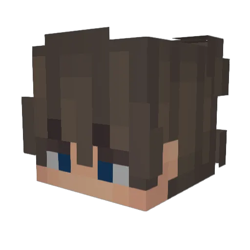 wjx00 Minecraft avatar head, 3D render