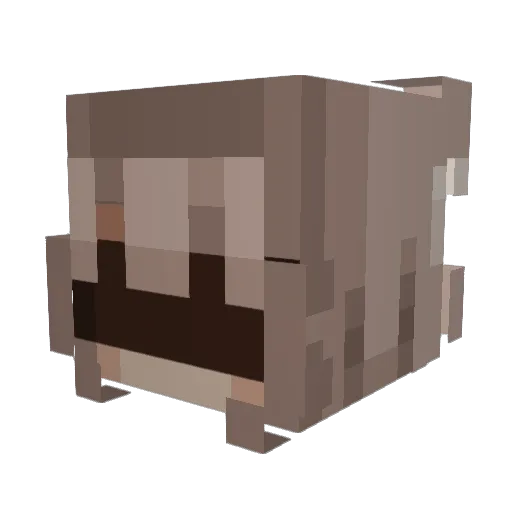 wkyerin_ Minecraft avatar head, 3D render