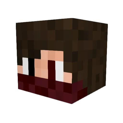 wladig Minecraft avatar head, 3D render