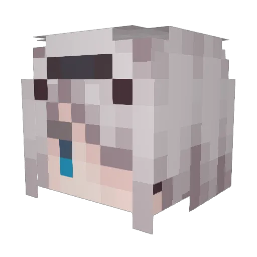 wldrnbag19 Minecraft avatar head, 3D render