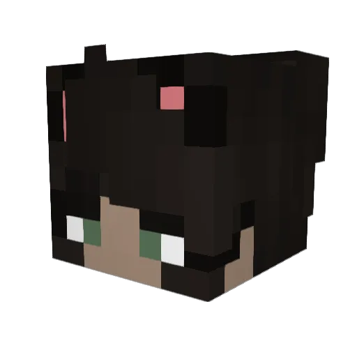 wlf5 Minecraft avatar head, 3D render