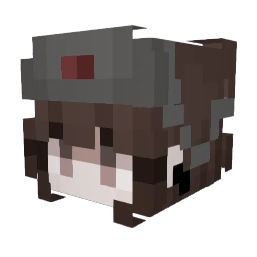 wlfu Minecraft avatar head, 3D render