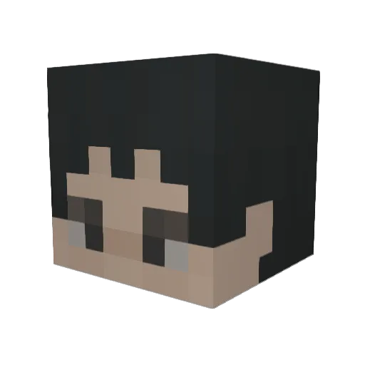 wlgh0919 Minecraft avatar head, 3D render