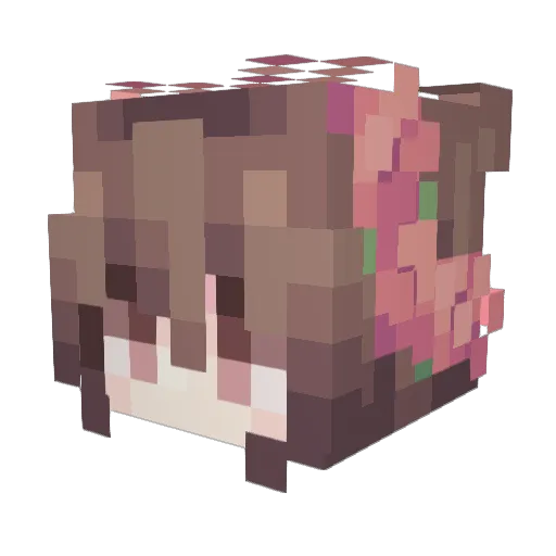 wliter Minecraft avatar head, 3D render