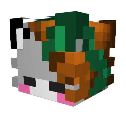 wlldkat Minecraft avatar head, 3D render