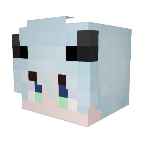 wlnt_ Minecraft avatar head, 3D render
