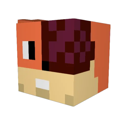 wloch Minecraft avatar head, 3D render