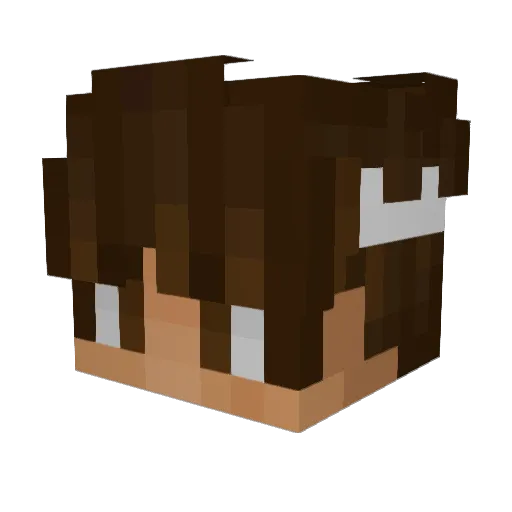wlolloxvii Minecraft avatar head, 3D render