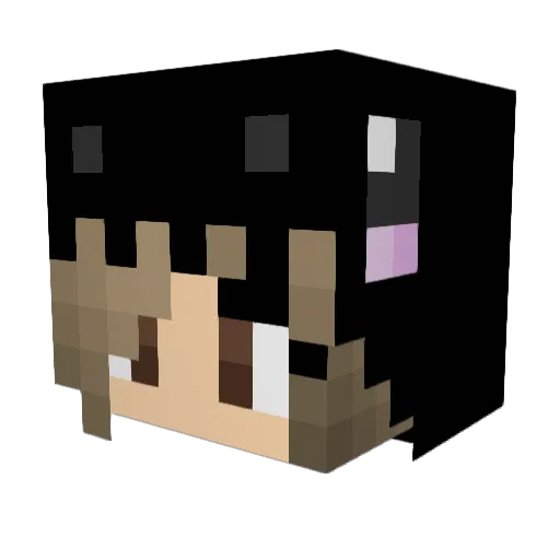 wloz Minecraft avatar head, 3D render